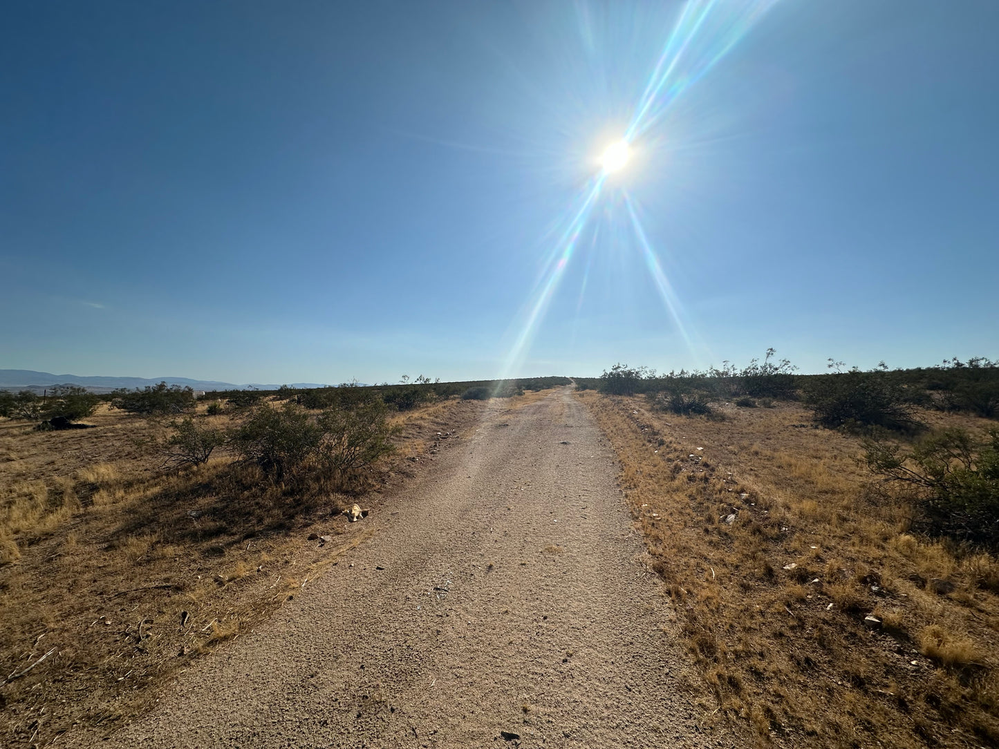 0.35 2.54 ACRES HI VISTA SOLO 810 AL MES