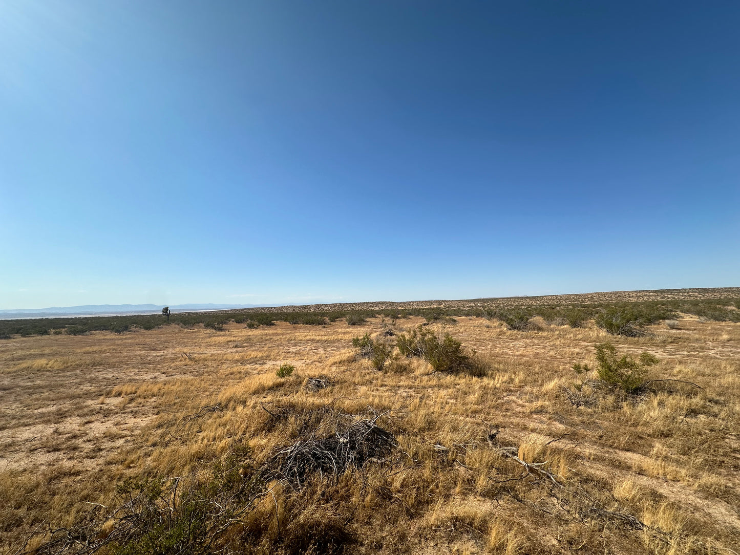 0.34 2.55 acres in hi vista SOLO 810 AL MES