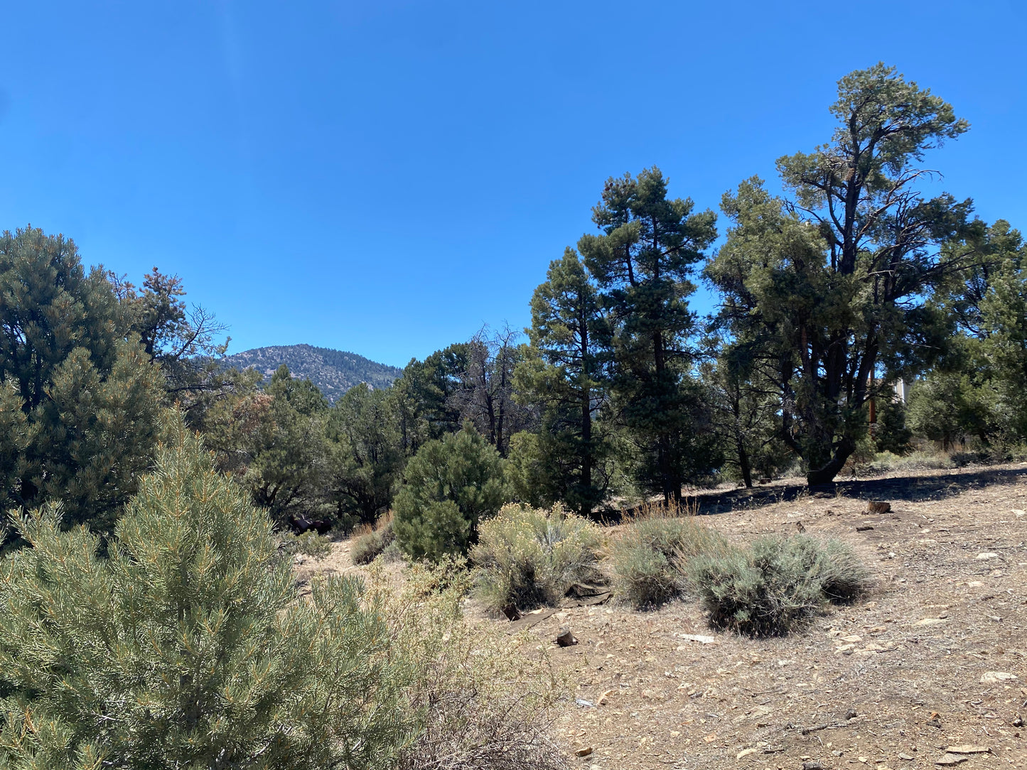 0.13 Baldwin lake/a lado de big bear PIN 8045