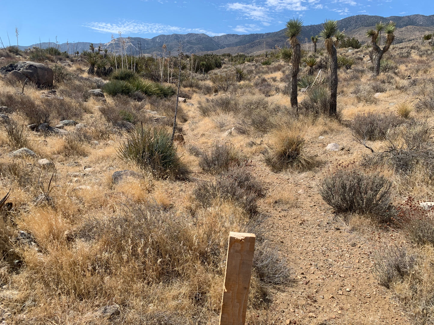 0.14 LUCERNE VALLEY 5 ACRES