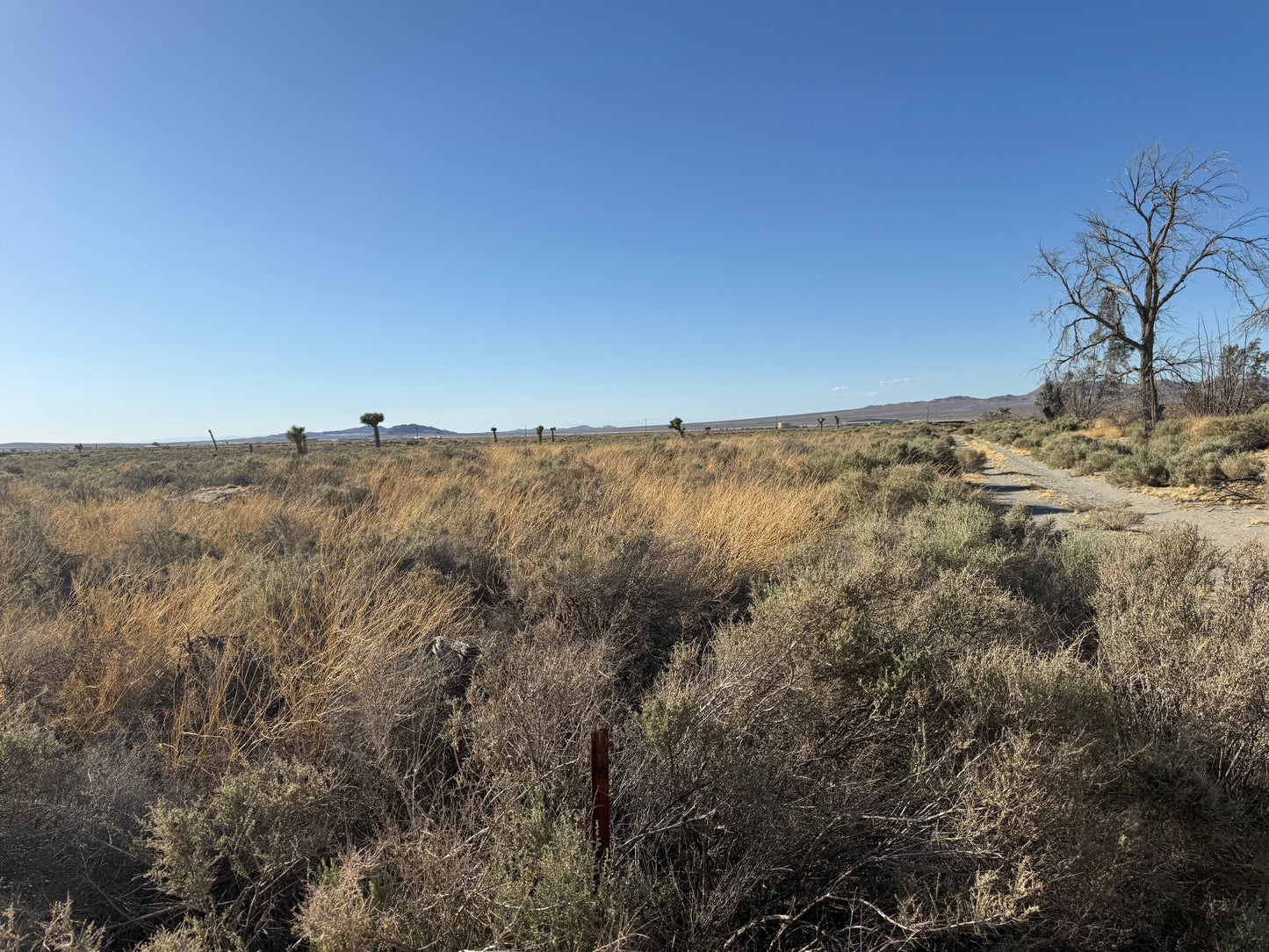 ❌SOLD/VENDIDO❌0.65 1.97 acres en El Mirage/ cerca de El Mirage Road