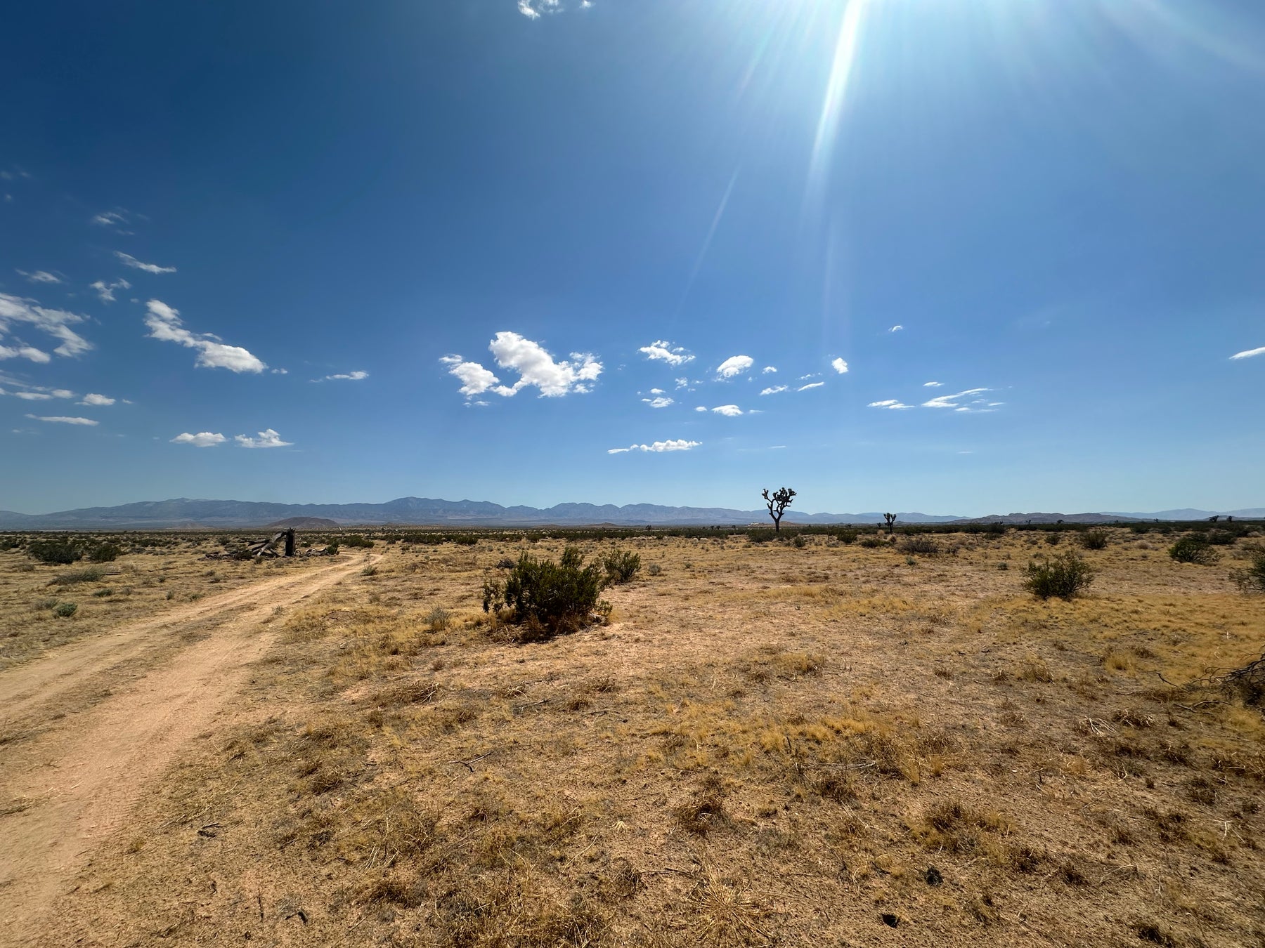0.36 MÁS DE 2.55 ACRES EN HI VISTA