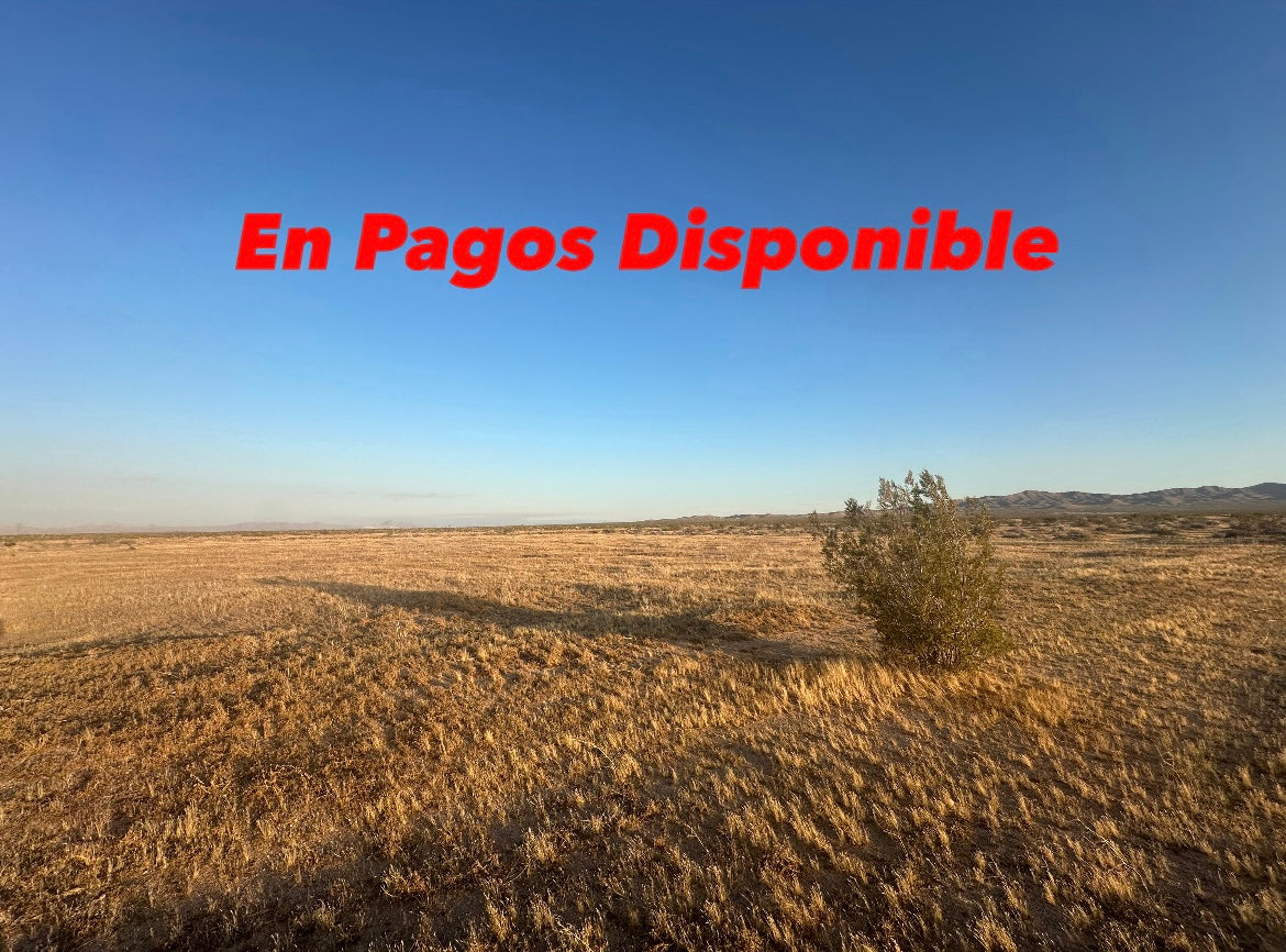 ❌SOLD/VENDIDO❌0.03 Pago inicial 2.33 ac ¡SÓLO $810 AL MES!