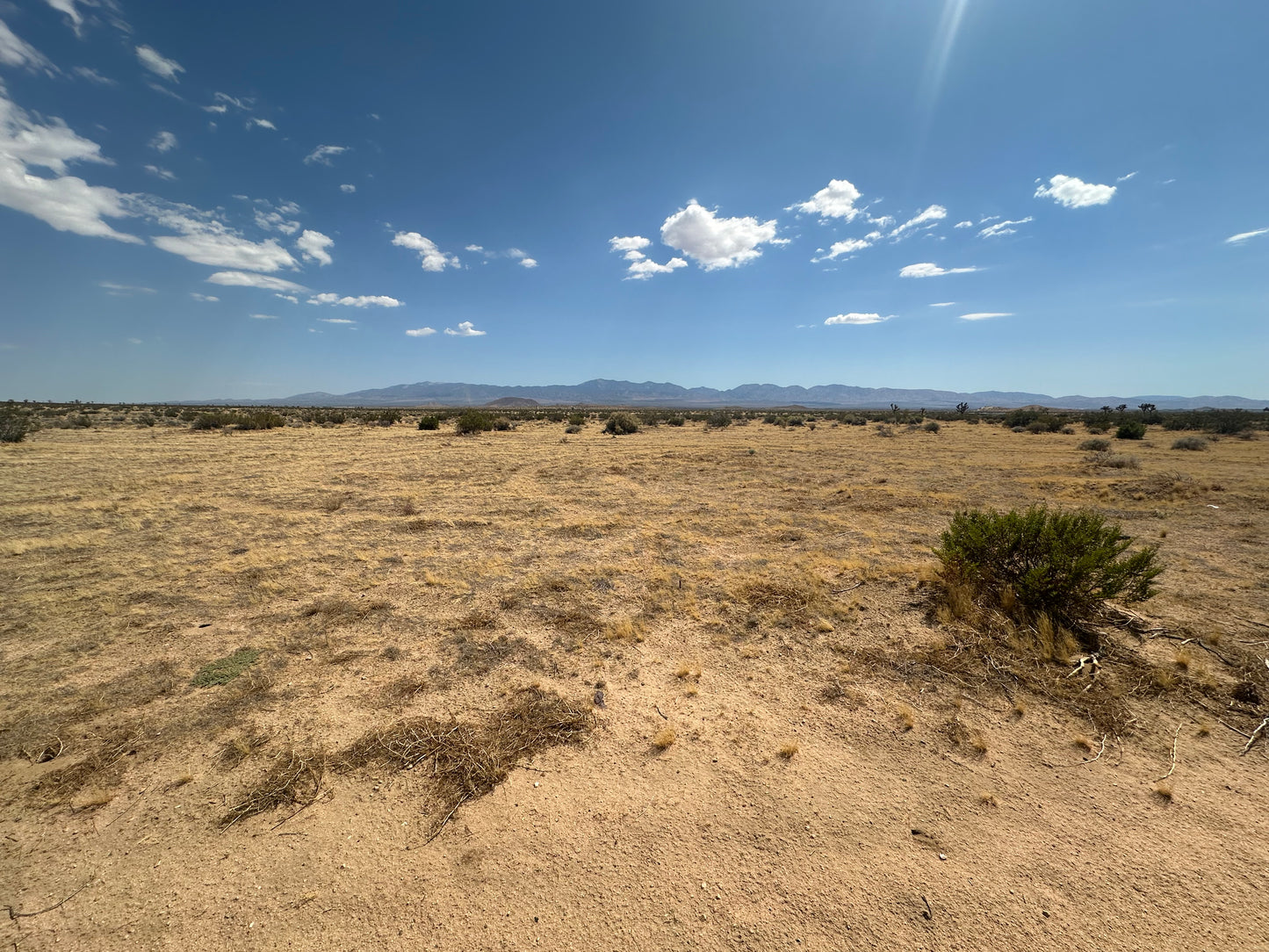 0.36 MAS DE 2.55 ACRES IN HI VISTA