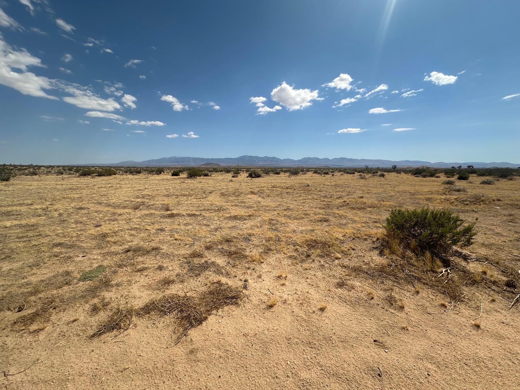 0.36 MÁS DE 2.55 ACRES EN HI VISTA