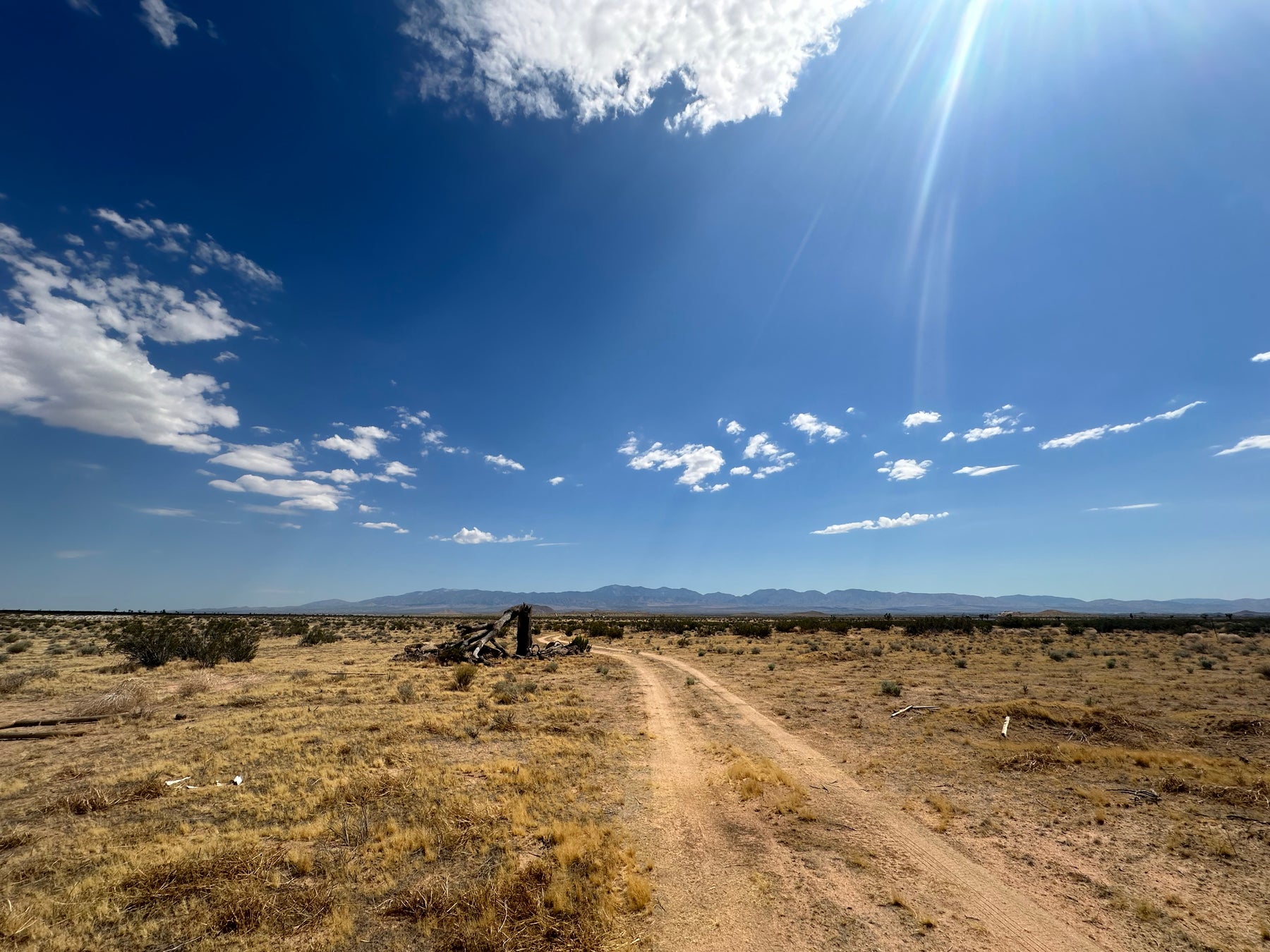 0.36 MÁS DE 2.55 ACRES EN HI VISTA