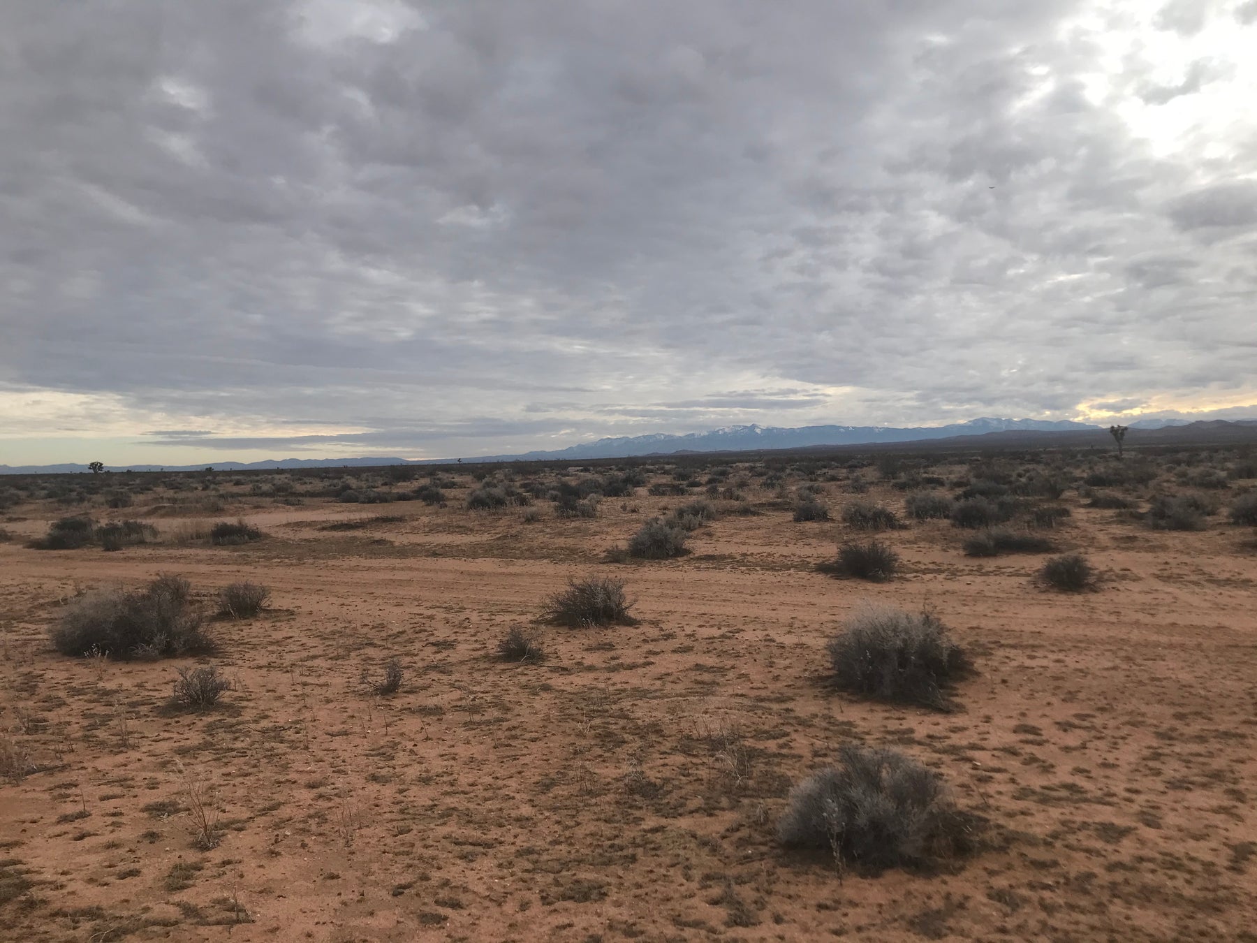 0.16 5 ac adelanto California
