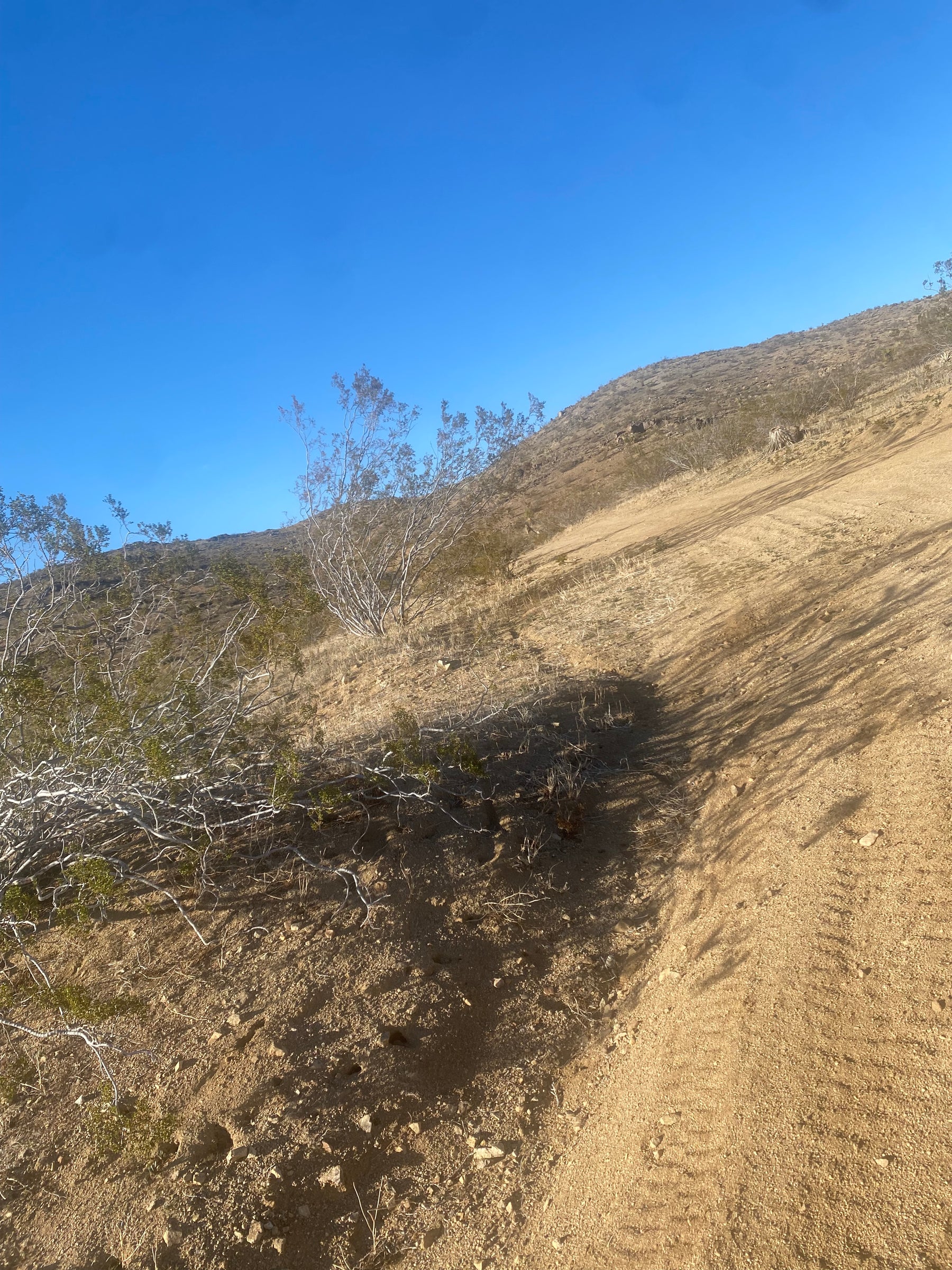 0.19  pin 9212 Lucerne Valley  2.37 acres acres