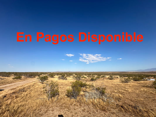 0.35 2.54 ACRES HI VISTA SOLO 810 AL MES