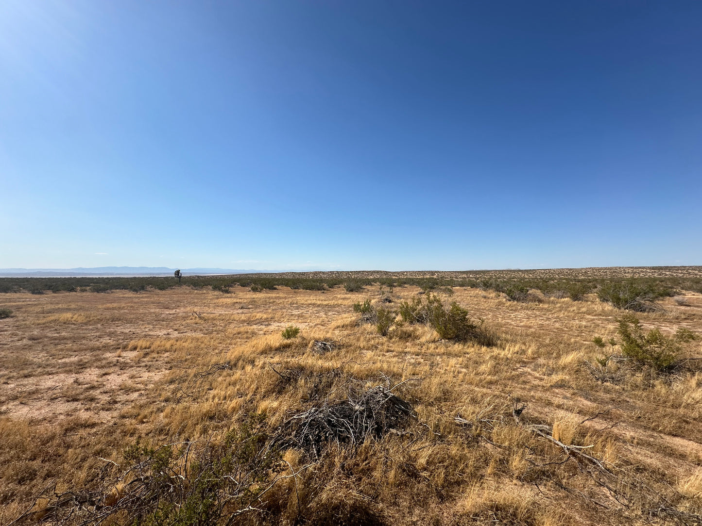 0.34 2.55 acres in hi vista SOLO 810 AL MES