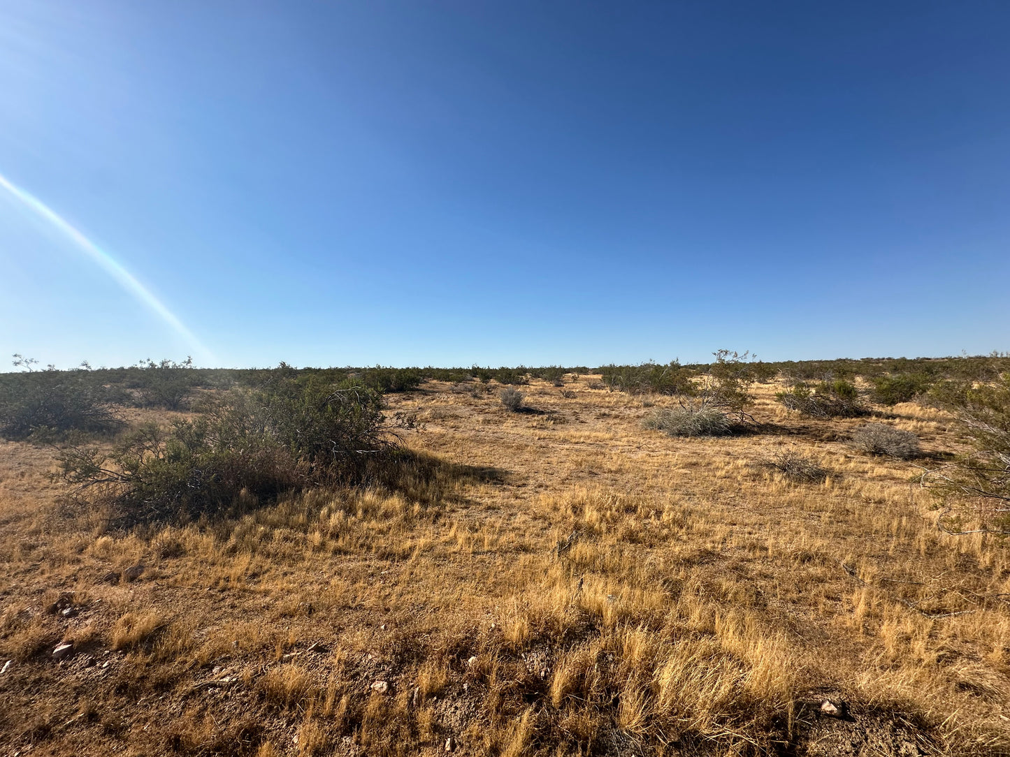 0.35 2.54 ACRES HI VISTA SOLO 810 AL MES