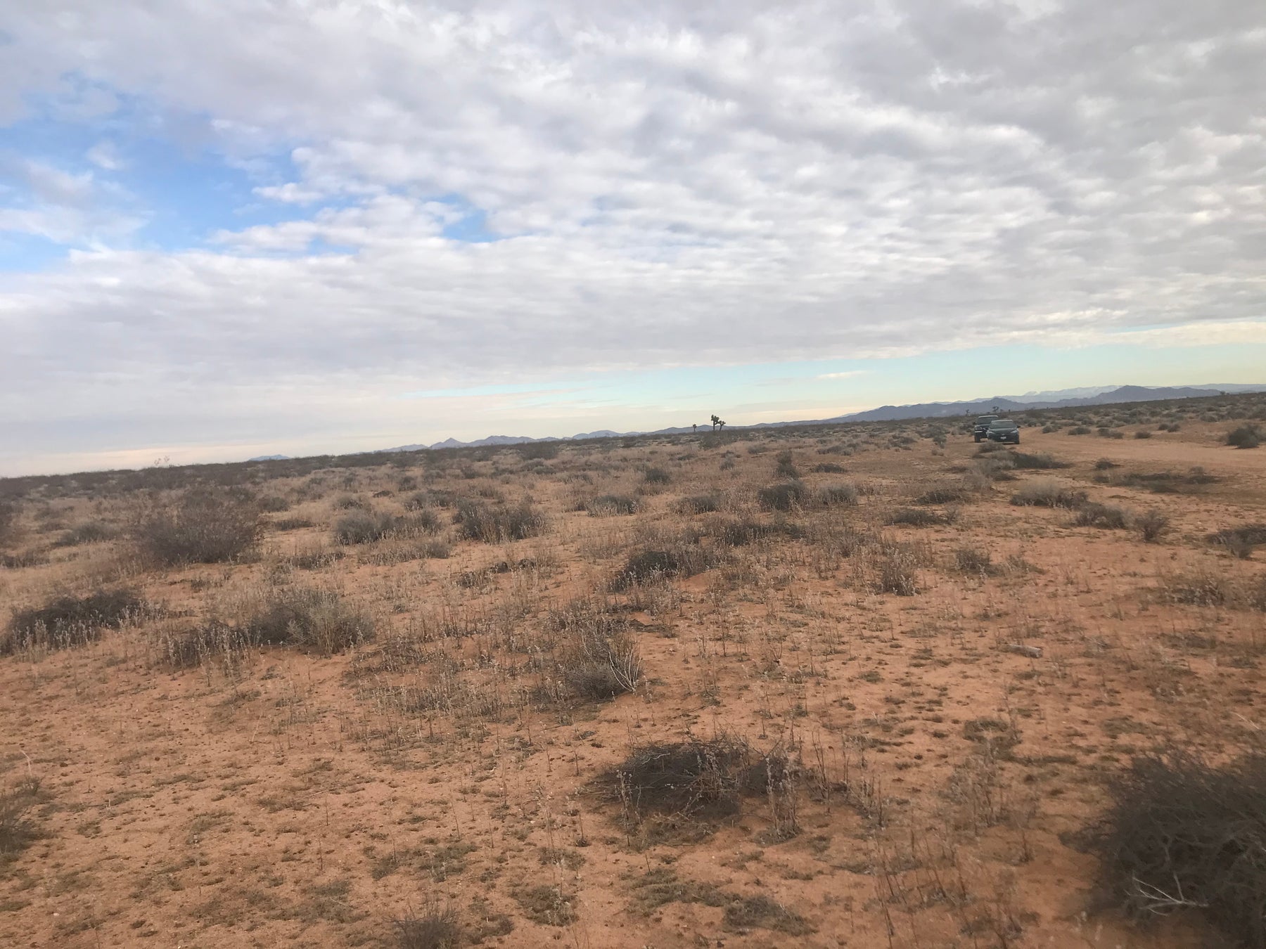 0.16 5 ac adelanto California