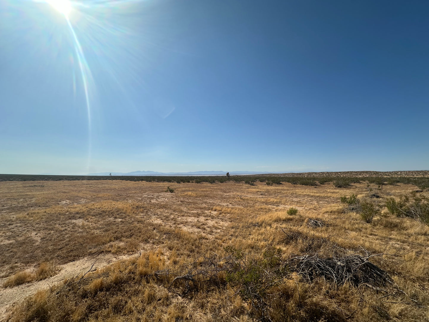 0.34 2.55 acres in hi vista SOLO 810 AL MES