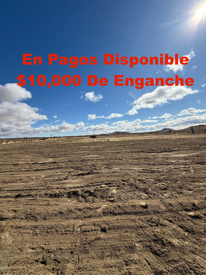 0.43 PIN 1015 2.24 ACRES LAGO LOS ANGELES ¡SOBRE PAVIMENTO!