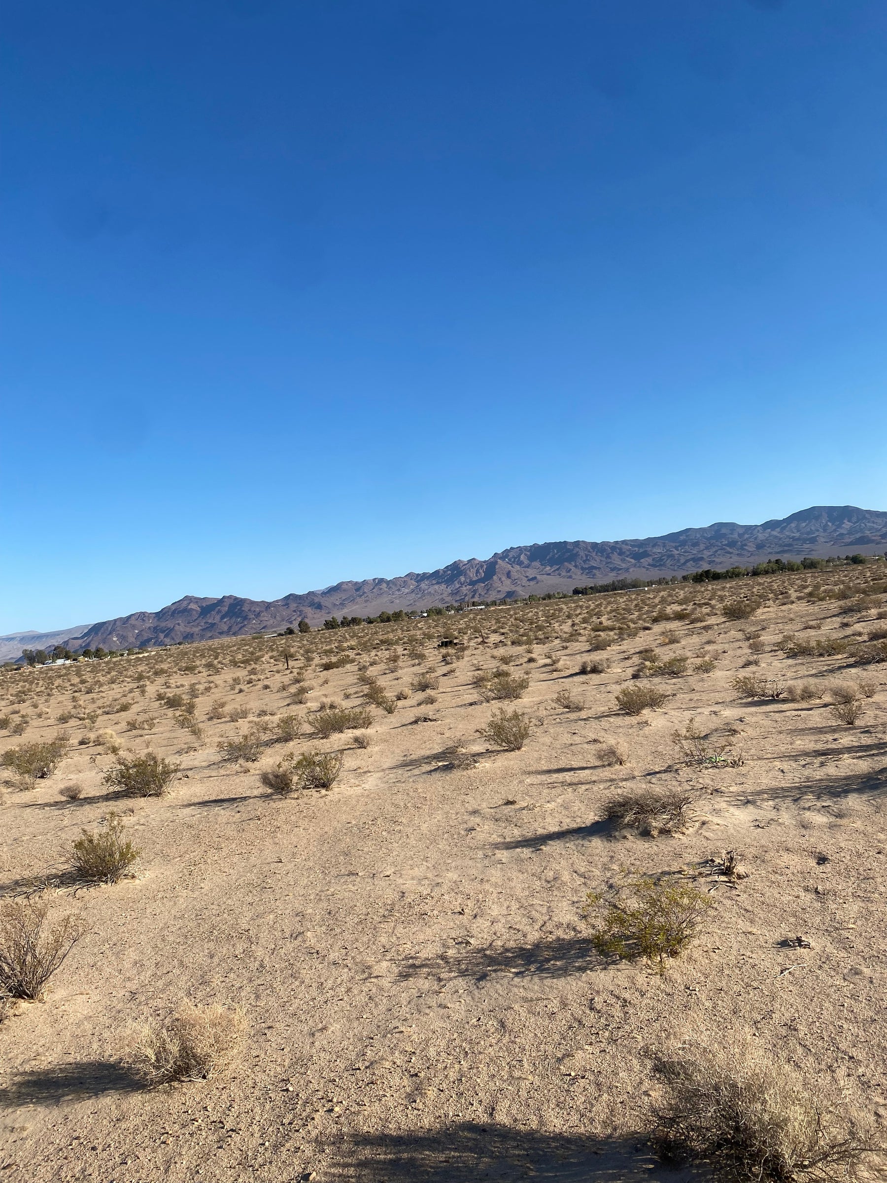 0.05 Newberry Springs 2.94 acres SOLO $810 AL MES