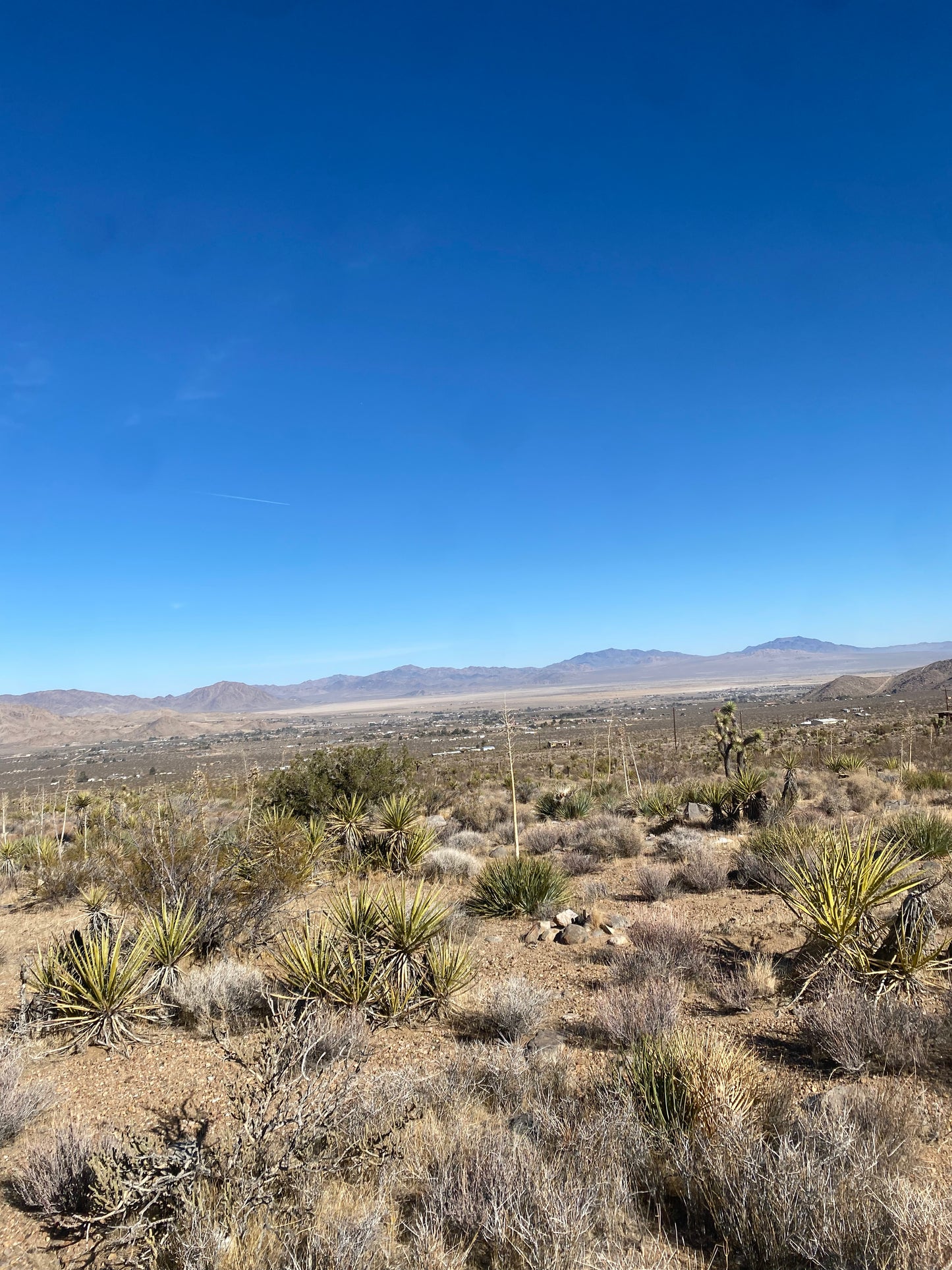 0.19 LUCERNE VALLEY 5 ACRES