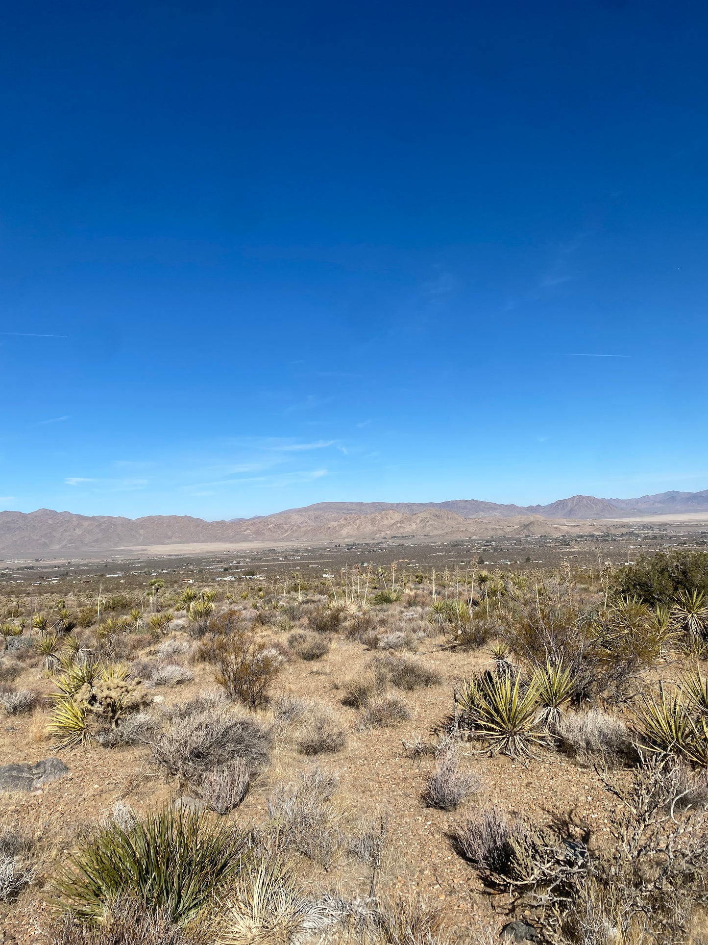 0.19 LUCERNE VALLEY 5 ACRES