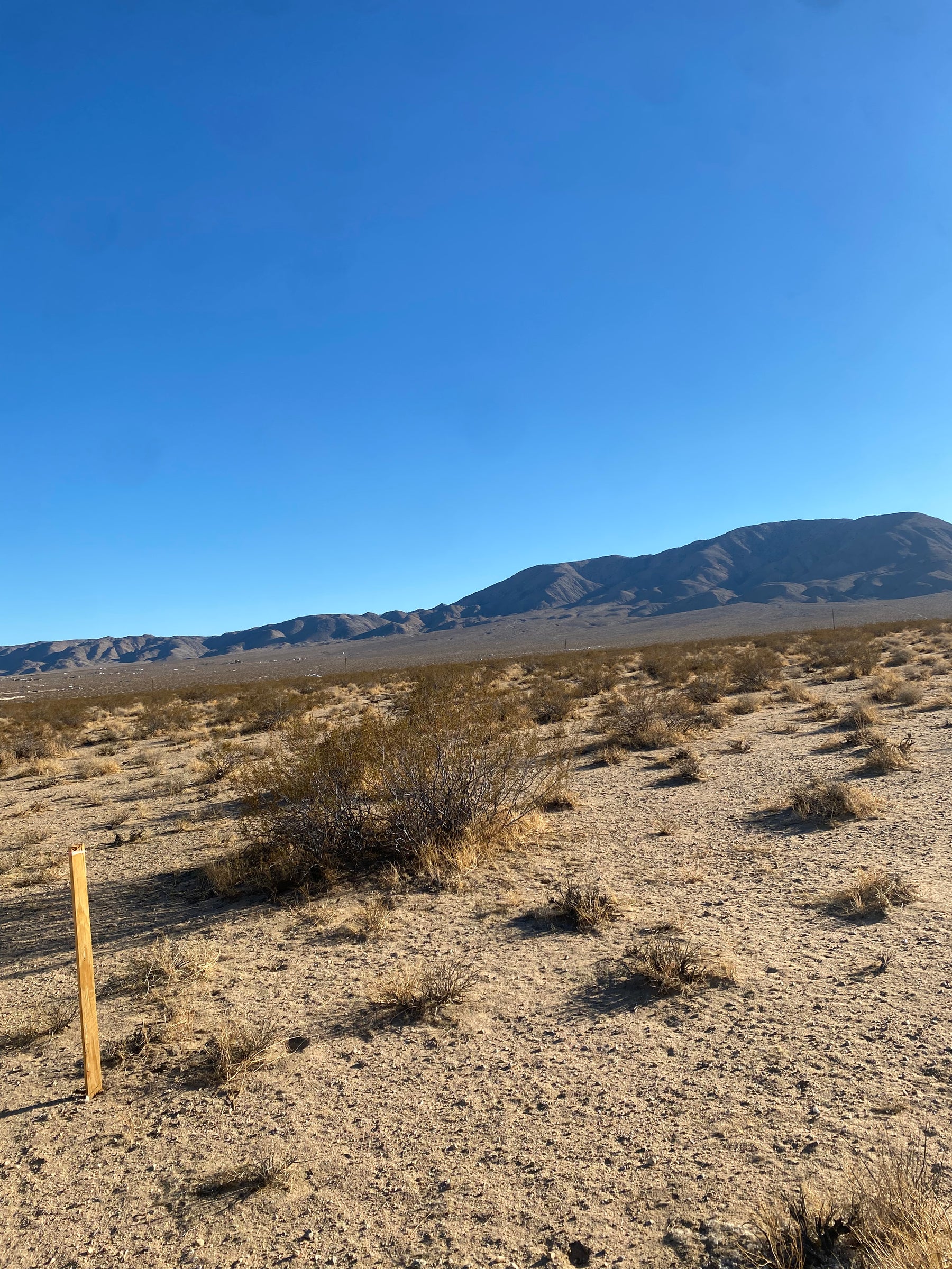 0.11 JOHNSON VALLEY 2.5 ACRES