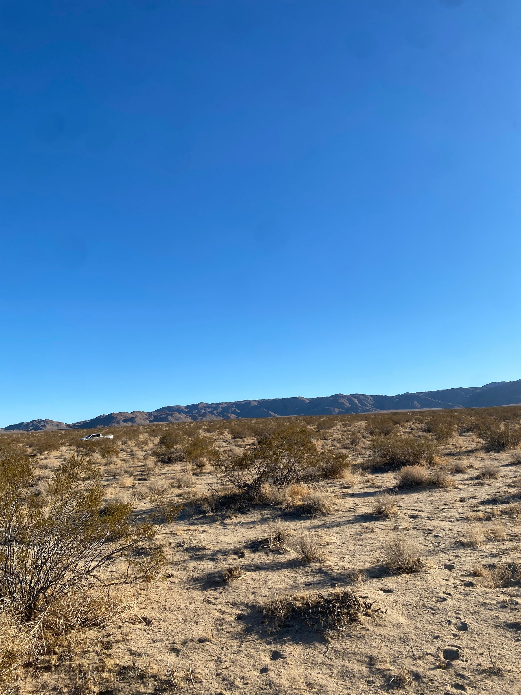 0.08 Johnson Valley 2.50 ACRES SOLO $810 AL MES