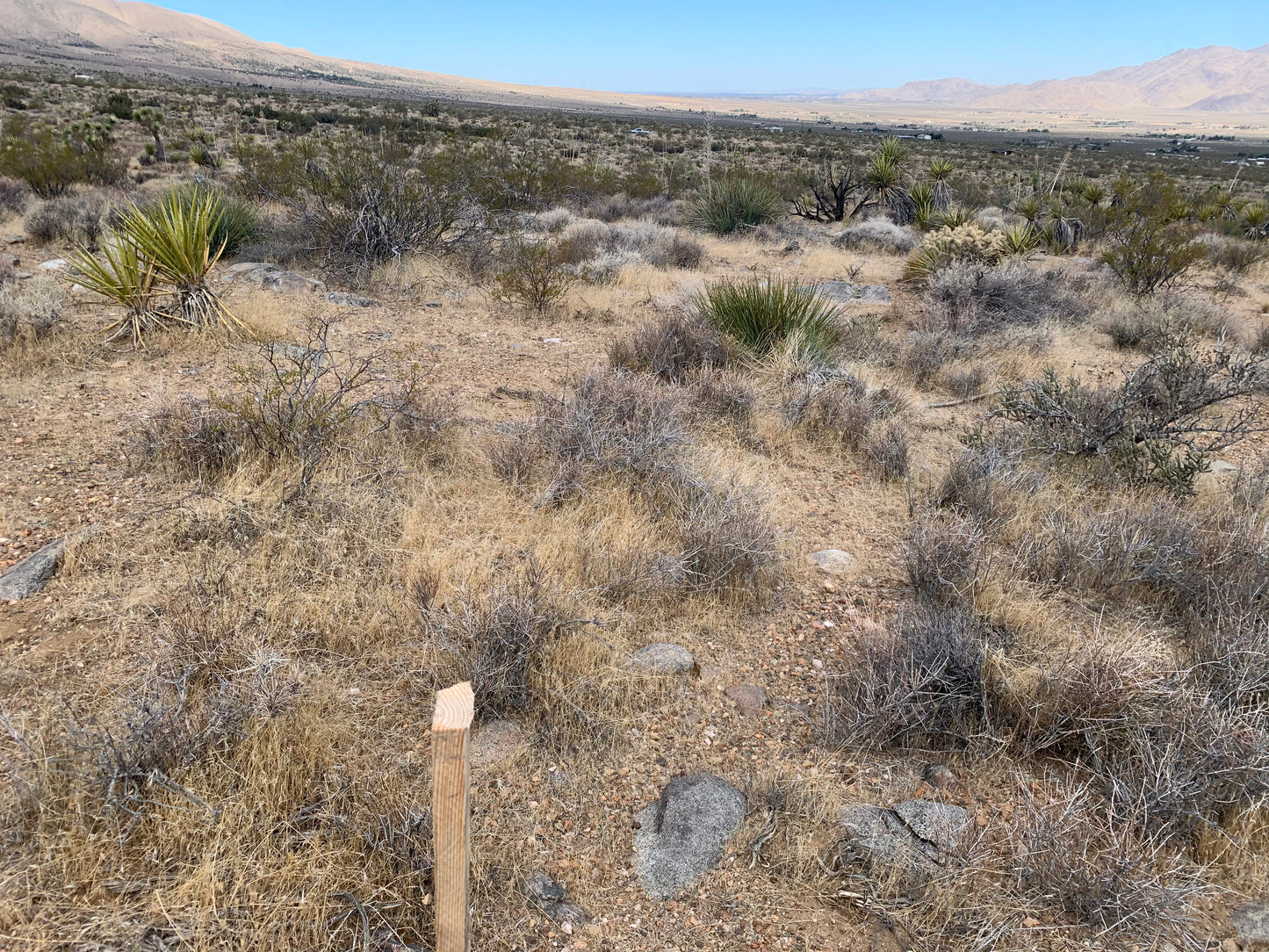 0.19 LUCERNE VALLEY 5 ACRES