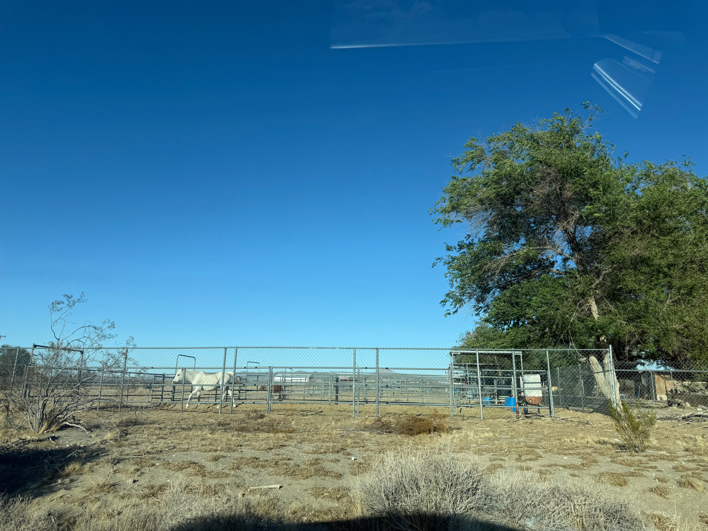 0.66 13.37 acres en El Mirage/ cerca de Koala Rd y El Mirage Rd